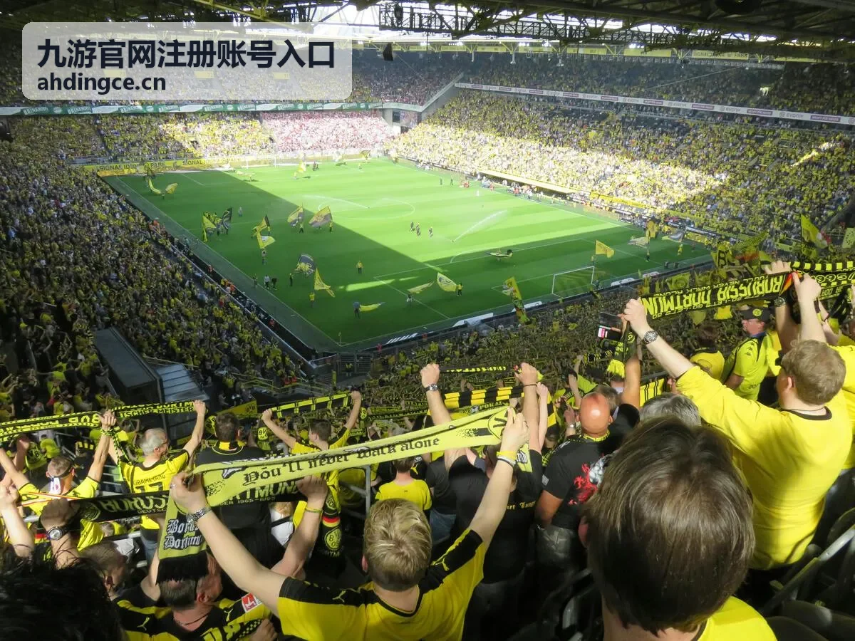 九游账号注册资料填写与密码设置界面示意
